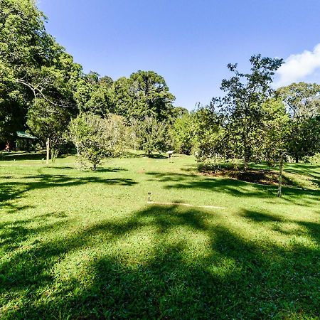 Refugio Ecologico Amadamata Hotel Nova Friburgo Ngoại thất bức ảnh