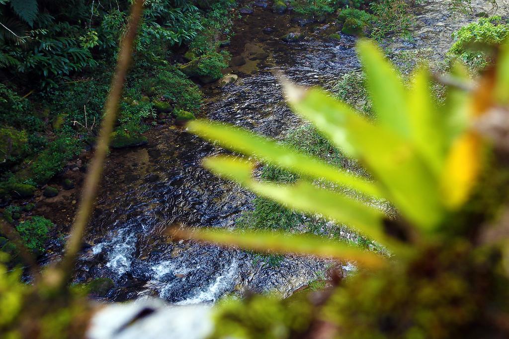 Refugio Ecologico Amadamata Hotel Nova Friburgo Ngoại thất bức ảnh