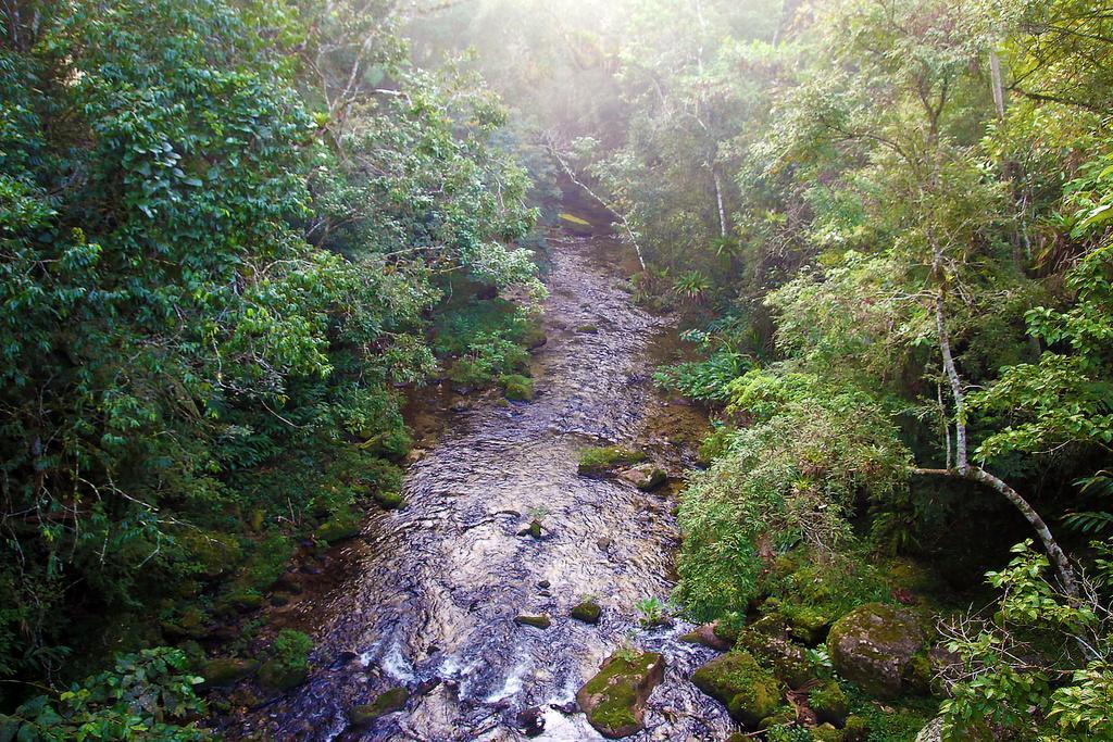Refugio Ecologico Amadamata Hotel Nova Friburgo Ngoại thất bức ảnh