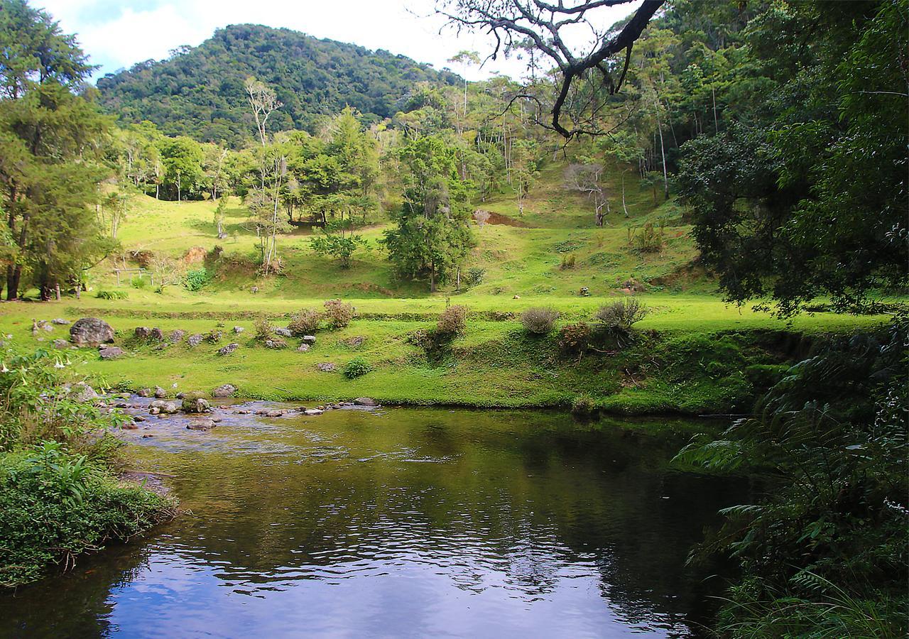 Refugio Ecologico Amadamata Hotel Nova Friburgo Ngoại thất bức ảnh