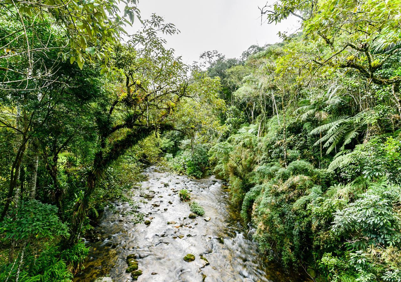 Refugio Ecologico Amadamata Hotel Nova Friburgo Ngoại thất bức ảnh