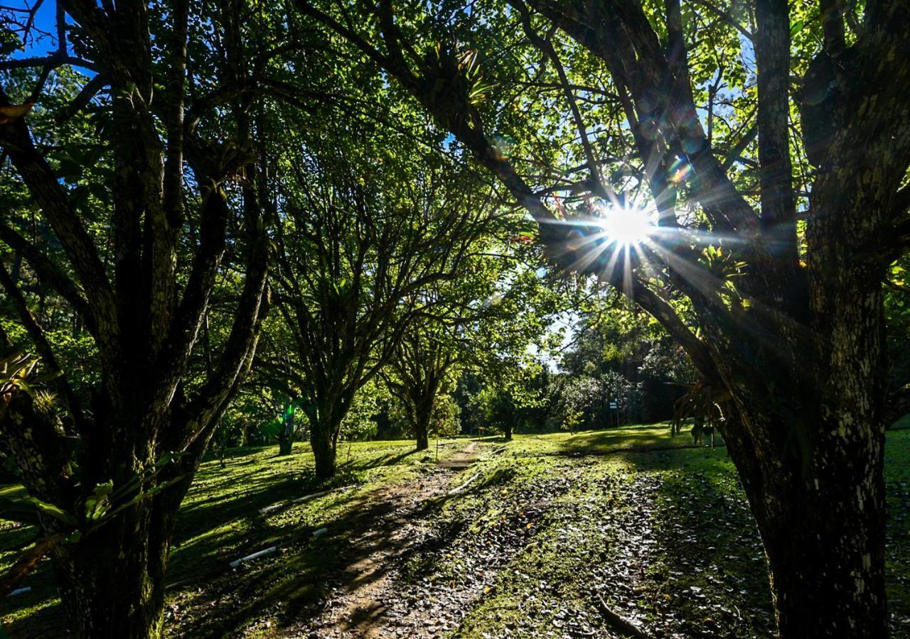 Refugio Ecologico Amadamata Hotel Nova Friburgo Ngoại thất bức ảnh